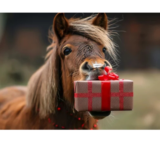 Holiday Gift Guide: Perfect Presents from Tack Shack of Ocala