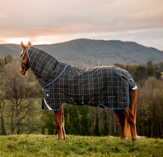 Finding the Right Horse Blanket: A Comprehensive Guide