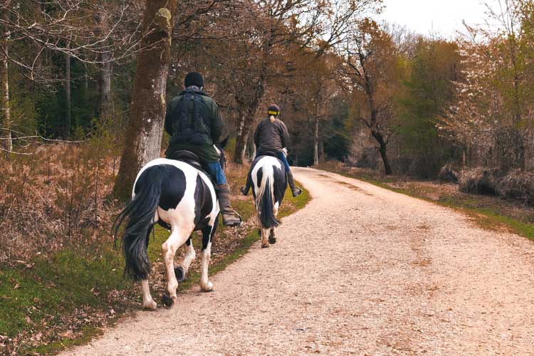 Finding the Right Helmet for Horse Riding