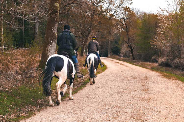 Finding the Right Helmet for Horse Riding