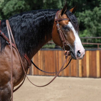 wester horse with split reins