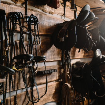Horse Tack