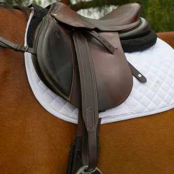 English stirrup leathers