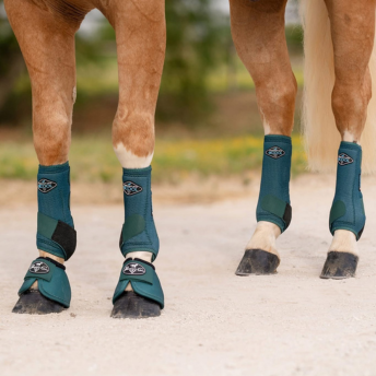 Horse bell boots and leg wraps