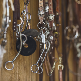 Horse bits hanging on wall