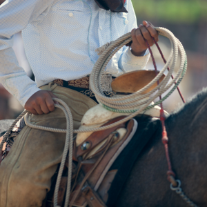 Find Western roping saddles designed for team roping, ranch work, and everyday riding.