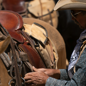 Find Western ranch saddles designed for ranch work, trail riding, and everyday performance.