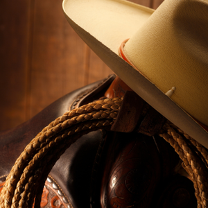 All Around Saddles