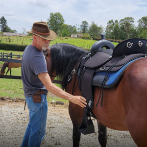 Synthetic Saddles