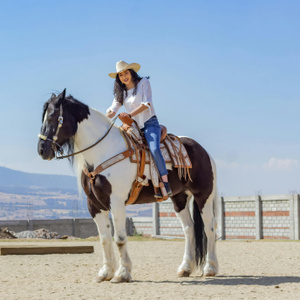 Shop draft saddles designed to fit larger horses with comfort, durability, and performance.