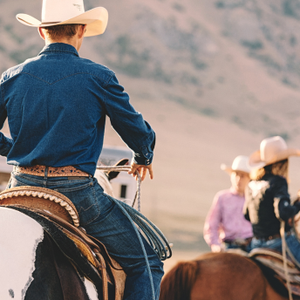 Shop cowhorse saddles built for comfort, balance, and performance in the arena or on the ranch.