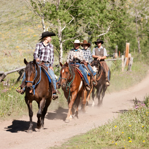 Find the perfect trail saddle for every adventure. 