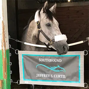 Keep your barn organized, clean, and comfortable with our stable supplies