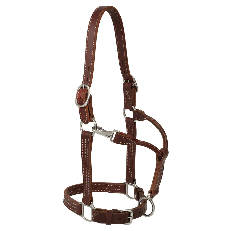 1"RANCH HORSE HALTER
