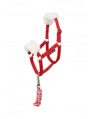 Toy Pony Christmas Halter & Lead