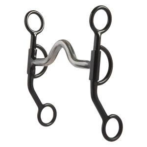 Horse bridle bit on a white background