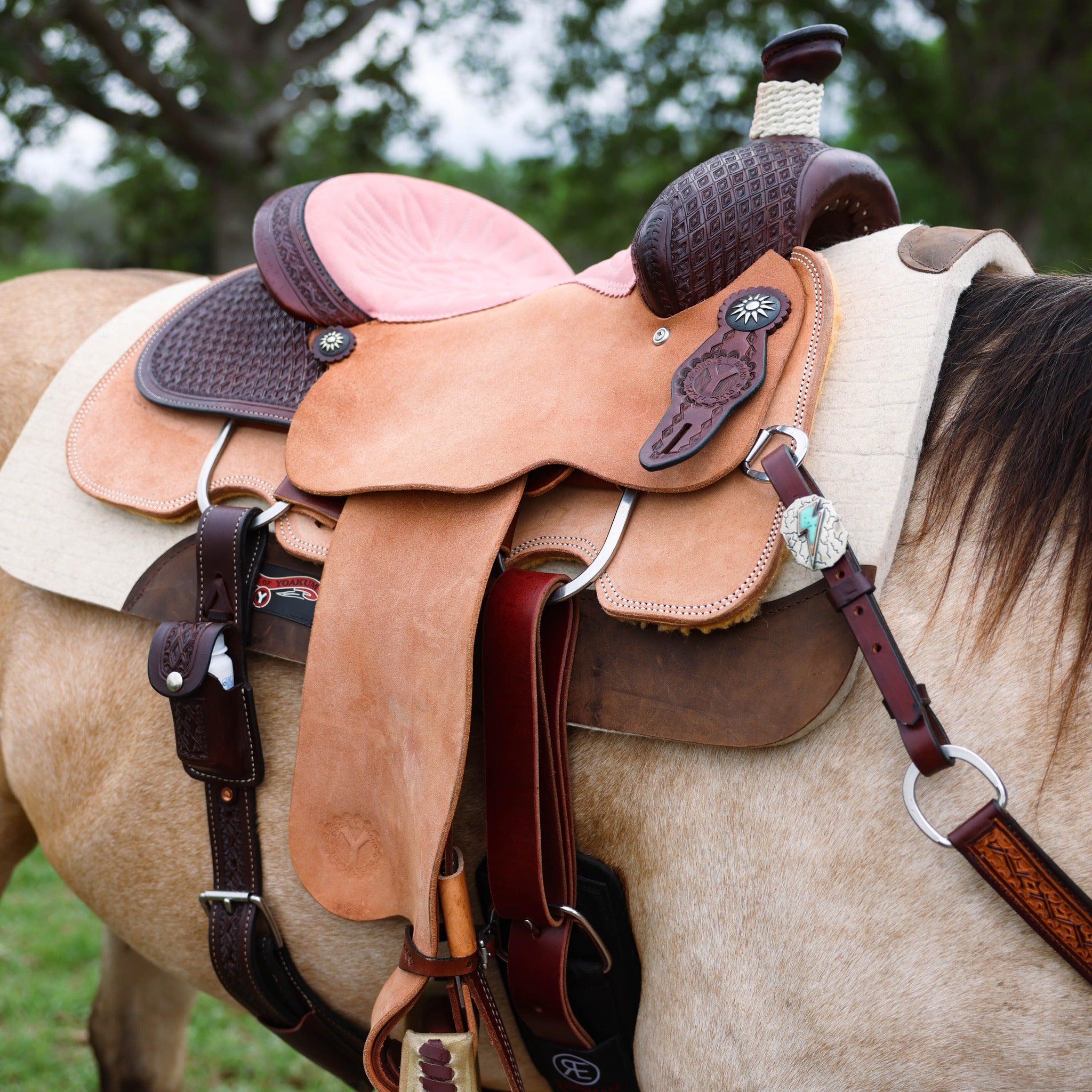 Tack Shack of Ocala circle y saddle set