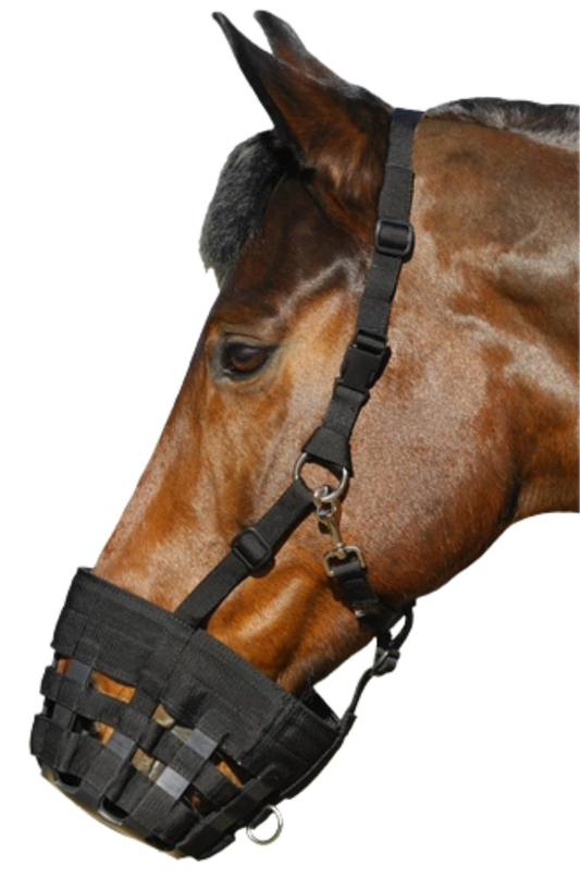 BEST FRIEND DELUXE GRAZING MUZZLE