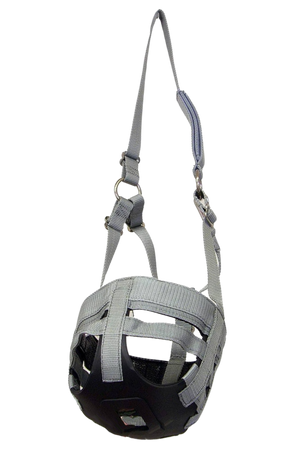 Best Friend Grazemore Muzzle