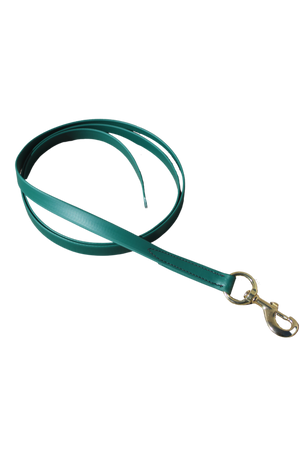 A green biothane dog leash with a metal snap.