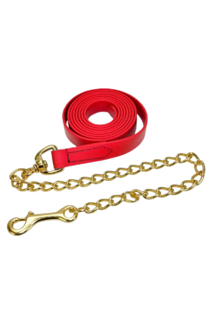 A red biothane shank with a gold-colored chain and clasp, likely used for horse tack.