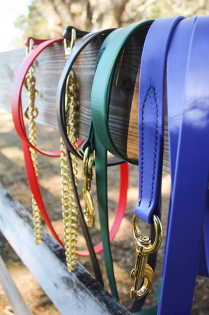 biothane dog leash with a metal snap.