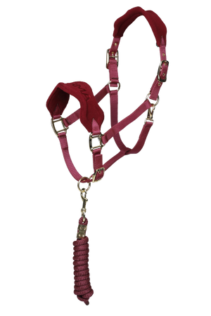 ARMA_Fleece_Halter__Lead_Rope