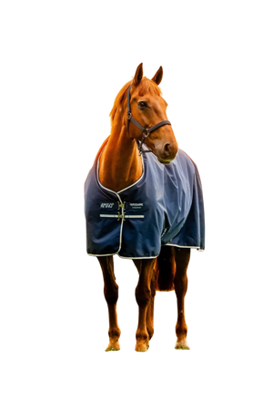 Amigo_Ripstop_900D_Pony_Turnout_200g