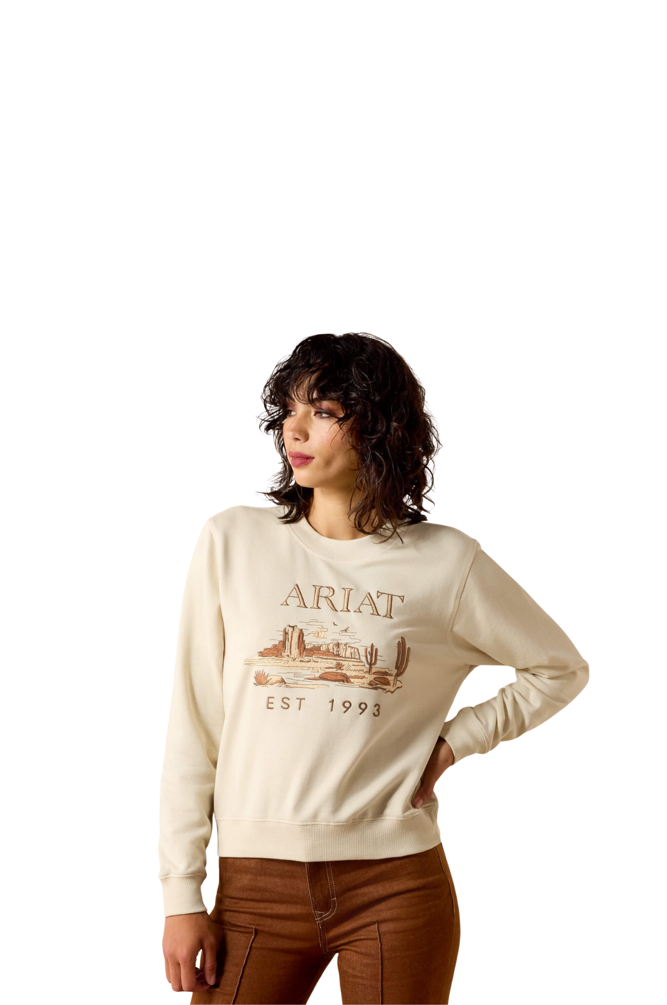 Ariat Essential Crew Sweatshirt-26
