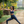 Aubrion_React_Sports_Bra