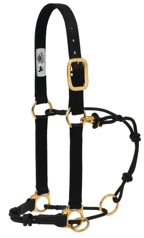 KK Horseman's Halter w/Side Ring