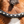 Blk_Oak_Daphne_Crystal_Pad_Bridle_wFlash_Crank