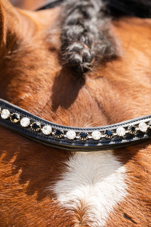 Blk_Oak_Daphne_Crystal_Pad_Bridle_wFlash_Crank