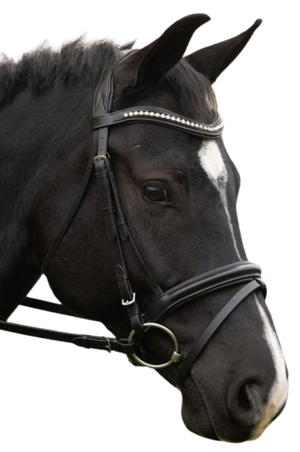 Blk_Oak_Magnolia_Bridle