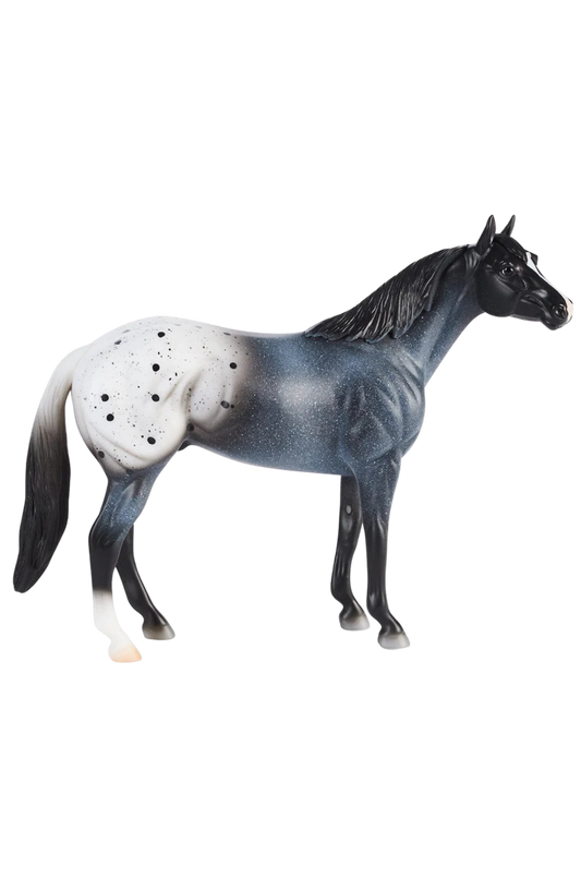 Blue Roan Blanket Appaloosa