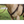 Braided_Lasso_BC