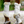Brilliance_Fleece_Edged_Brushing_Boots
