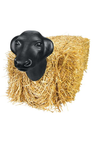 Calf head