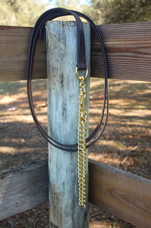 biothane shank with a gold-colored chain and clasp, likely used for horse tack.