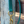 biothane dog leash with a metal snap.