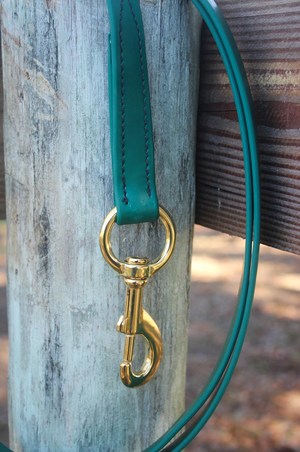 biothane dog leash with a metal snap.