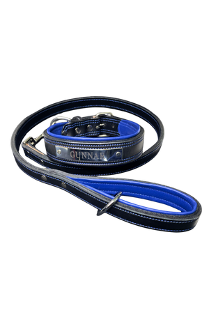 Black and blue dog collar and leash set on a white background