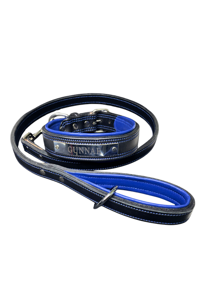 Black and blue dog collar and leash set on a white background