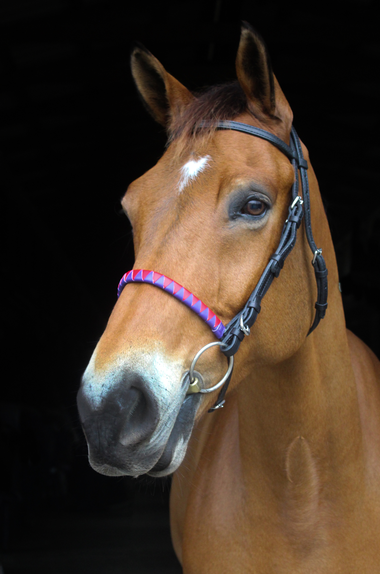 TS CUSTOM SHARKSTOOTH NOSEBAND