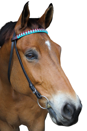 TS Custom Browbands