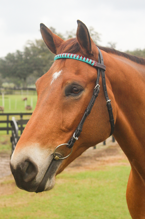 TS Custom Browbands