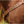 Carico_Breast_Collar
