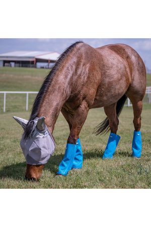 Cashel Crusader Blue 