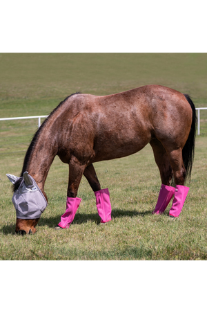 Cashel_Crusader_Fly_Leg_Guards_Set_of_4