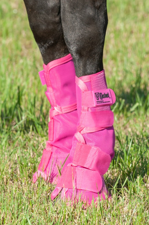 Cashel_Crusader_Leg_GuardsSet_2